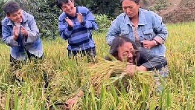 对歌有错吗