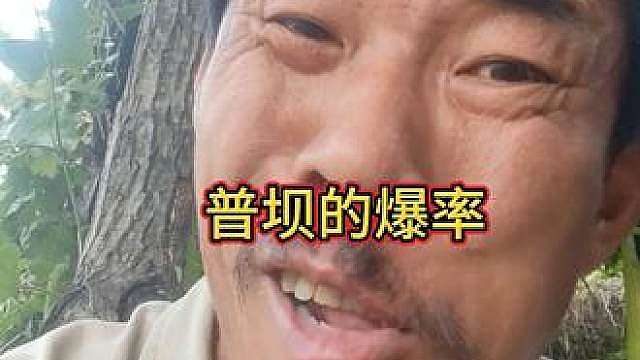 普坝的爆率怎么可能这么高