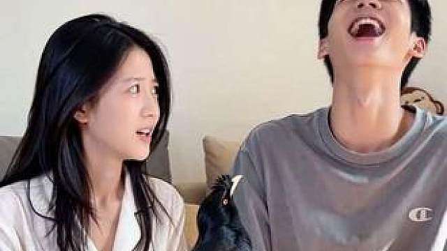 会说话的鸟八哥
