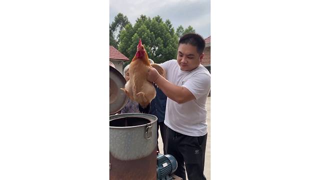 农村真实生活