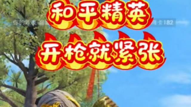 队友你先听我狡辩…