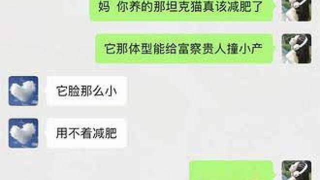 猫咪的迷惑行为