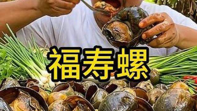 我们不敢吃的福寿螺，东南亚人当饭吃到饱