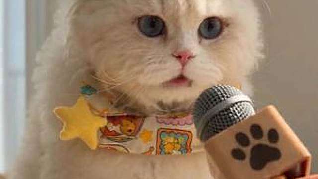 小猫咪为什么总推倒桌上的东西？