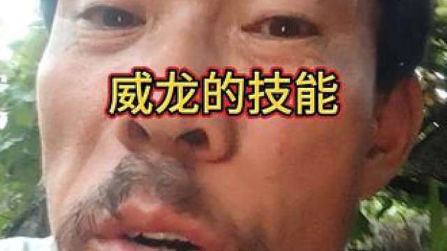 威龙的技能对于大叔我来说就是跑路用的