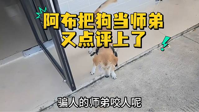 阿布把狗当师弟又点评上了