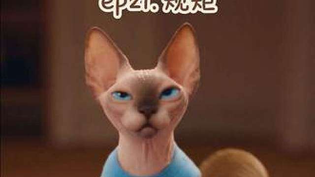 规矩就是规矩 小猫允许上桌吗？
咖啡的日常 第21集 规矩