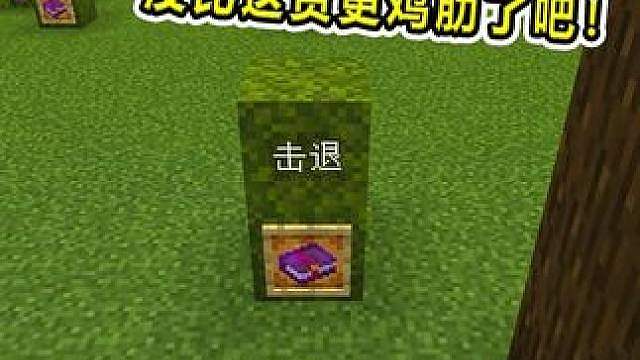 谁是MC最没用的附魔！谁比击退更捞？