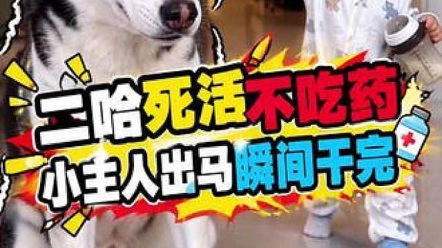 主人喂药二哈死活不吃，小主人出马后秒认怂