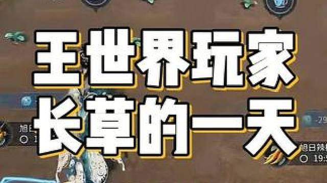 王世界玩家长草&充实的一天