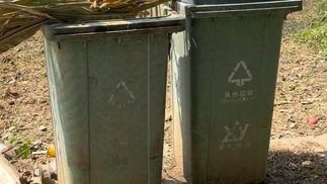 解锁100种淡水鱼图鉴 第9集