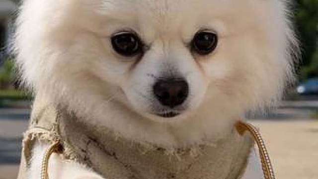 神奇的隐形眼镜