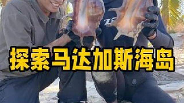探索莫桑比克海峡海岛 干旱环境严酷的海岛上，居然还生活着原住民，第一天登岛就偶遇超大蜘蛛螺和玫瑰龙虾