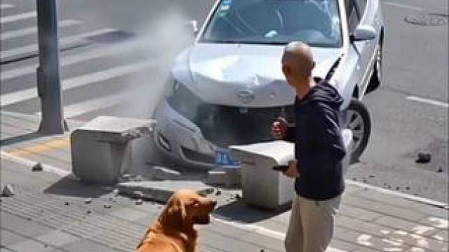 咋也想不到，竟然是狗子救他一命