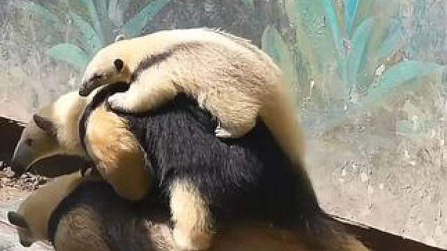 结完婚就后悔了，还是单身快乐
