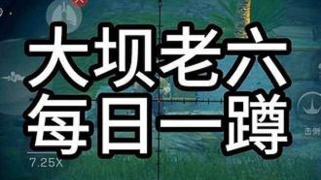 大坝老六每日一蹲