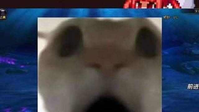女鬼剑这两套外观是Ai的实际是这样的！