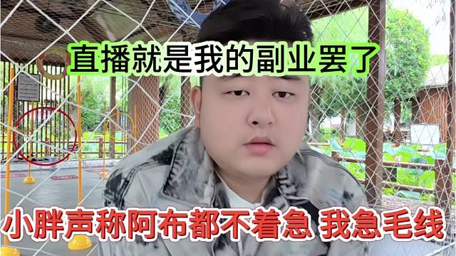 小胖声称阿布都不着急，我急毛线，直播就是我的副业