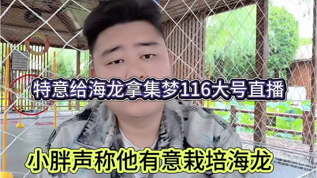 小胖声称有意栽培海龙，特意给他拿杆集梦116大号