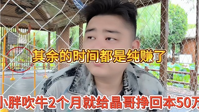 小胖吹牛两个月就给晶哥挣回本50万，其余都是赚的
