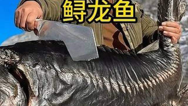 一百多斤的鲟龙鱼，看伊朗的大厨怎么杀了做美食，开眼界了