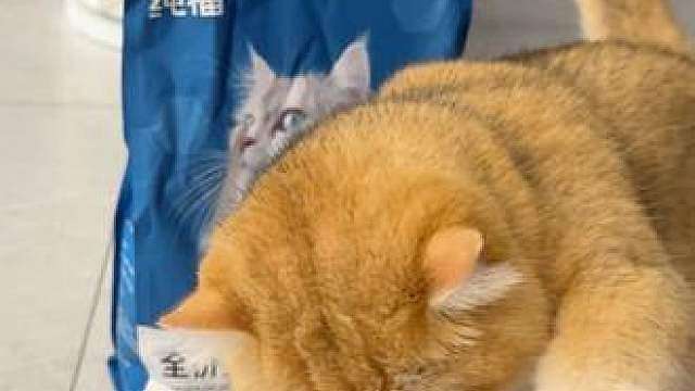 老实人接广belike：