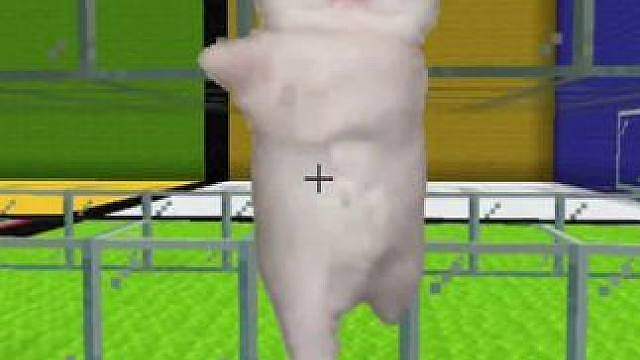 今天挑战piupiu小猫也是表弟视角