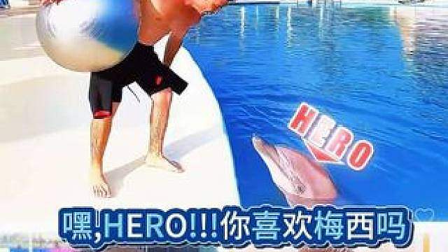 C罗的粉丝有多广!?连动物界都涵盖了！ 梅西：它居然不是我的球迷！？