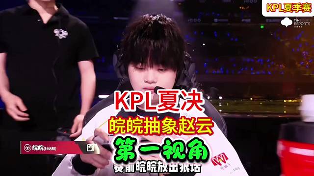 KPL夏季赛决赛 皖皖的抽象型赵云 第一视角