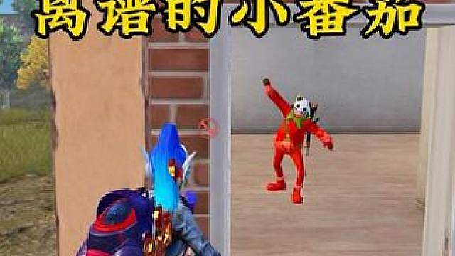 这小番茄笑死我了哈哈哈，声音呆呆的