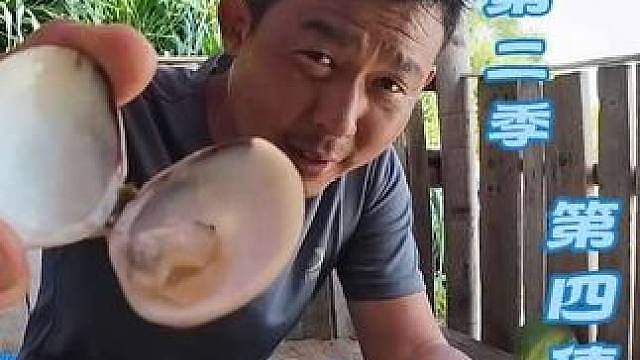 海岛第二季第四集： 山上资源稀缺，沙滩寻找资源，终于吃上了海餐大鲜