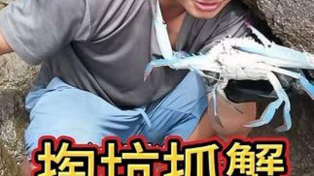 海岛七 野姜炖汤防感冒，掏坑抓蟹收获丰