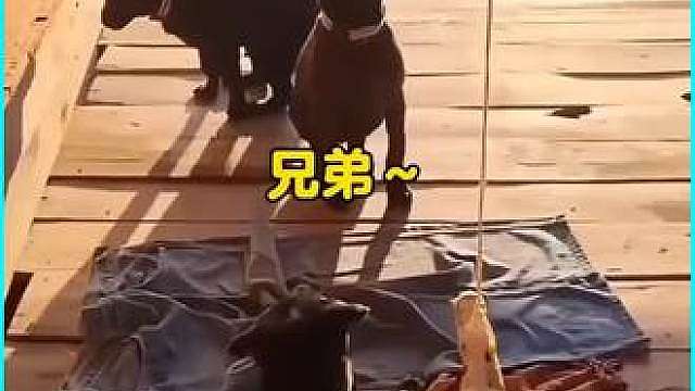 谁还没有几个好朋友啊？