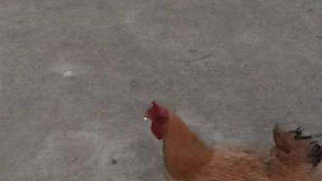 世上只有妈妈好，妈妈舍不得打你