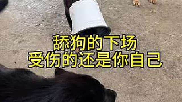 可能这就是白月光的杀伤力吧自古舔狗没有好下场。