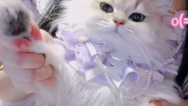 9月24号生日回露脸直播！记得来看哦