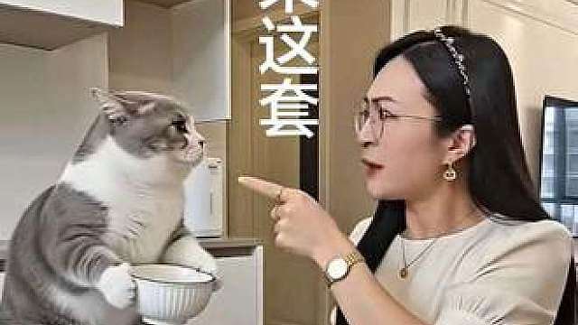 我家小猫啥都爱吃，不矫情，真的超级好养活