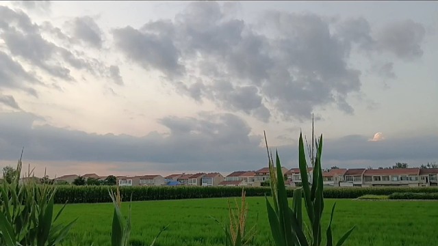 好像那是一个秋天 夕阳 西下