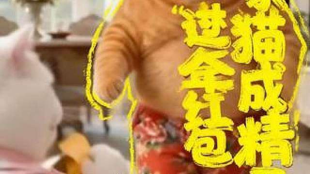 猫咪的迷惑行为