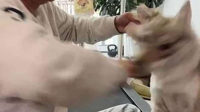 我和魔丸的快乐生活