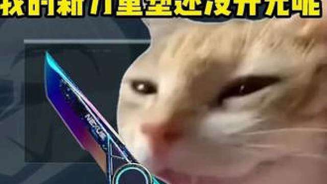 兄弟不讲武德