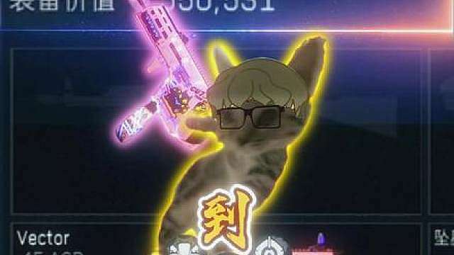 超值轮椅！灵感来源 
Vector冲锋枪-烽火地带-6LBFEI009KMLO7JACOE4T