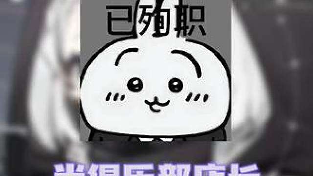 这小玩意到底是谁招进来的？？？