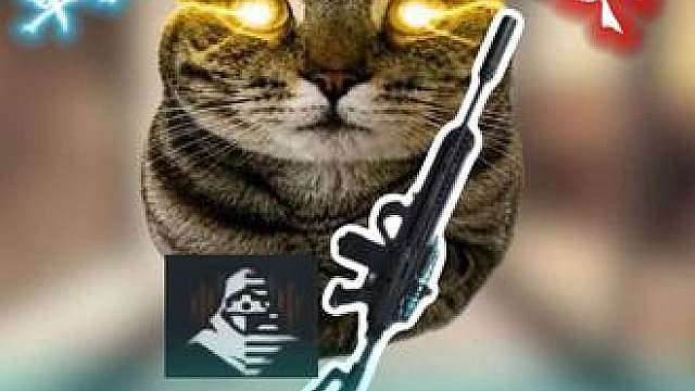 M7是真的贵