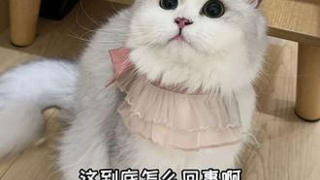 这些又是什么东西呀？？