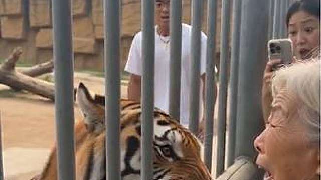 动物园内禁止投喂！