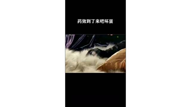 药效到了来吧坏蛋