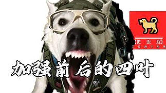 加强前后的四叶