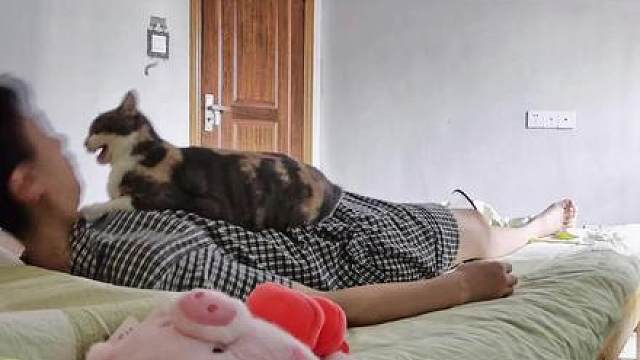 十六都困不行了！还要哄我！顽皮猫咪反应挑战