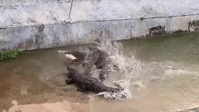 有点害怕！  -